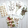 Prima Marketing Twinkle & Treats Flowers Christmas Berries 4pz