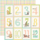 Simple Stories Say Cheese Classic Pooh Baby Collection Kit 30x30cm