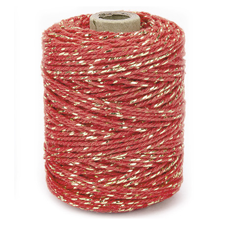 Vivant Cord Cotton Lurex Twist Brick and Gold 50 MT 2MM