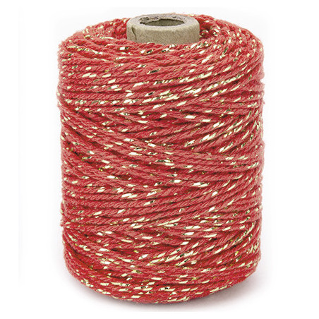 Vivant Cord Cotton Lurex Twist Brick and Gold 50 MT 2MM