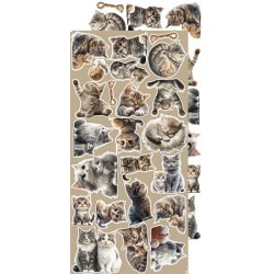 Craft o' Clock Creative Extras Set 03 - Cats 15,75x30,5cm
