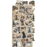 Craft o' Clock Creative Extras Set 03 - Cats 15,75x30,5cm