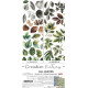 Craft o' Clock Creative Extras Set MIX 04 - All Leaves 15,75x30,5cm