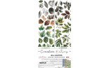 Craft o' Clock Creative Extras Set MIX 04 - All Leaves 15,75x30,5cm