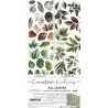 Craft o' Clock Creative Extras Set MIX 04 - All Leaves 15,75x30,5cm