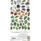 Craft o' Clock Creative Extras Set MIX 04 - All Leaves 15,75x30,5cm
