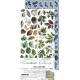 Craft o' Clock Creative Extras Set MIX 04 - All Leaves 15,75x30,5cm