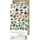 Craft o' Clock Creative Extras Set MIX 04 - All Leaves 15,75x30,5cm