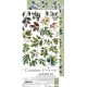 Craft o' Clock Creative Extras Set MIX 04 - All Leaves 15,75x30,5cm