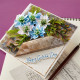 Spellbinders The Poet's Garden Etched Dies Love-in-a-Mist