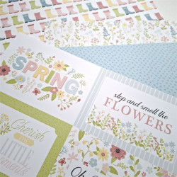Echo Park In Full Bloom Collection Kit 30x30cm