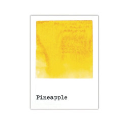 49 and Market Dye Ink Pad Pineapple