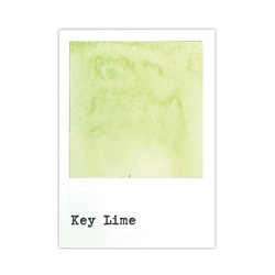 49 and Market Dye Ink Pad Lime