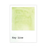49 and Market Dye Ink Pad Lime