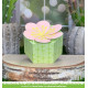 LAWN FAWN Flower Treat Box Dies