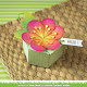 LAWN FAWN Flower Treat Box Dies