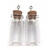 2 Mini Glass Bottles