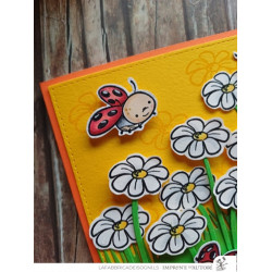 Timbro Clear-Mi 2712-CLEM-C Baby Ladybug