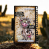 AALL & Create Stamp Set A6 1407 Holy Cow!