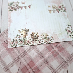 Craft o' Clock Baby Girl Universe Paper COLLECTION Set 20x20cm 24fg