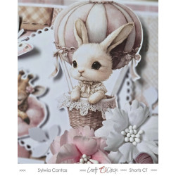 Craft o' Clock Baby Girl Universe Extras to Cut MIX 15,75x30,5cm