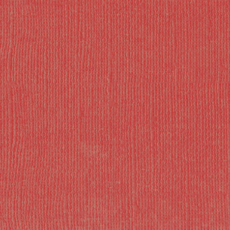 Cartoncino monocolore Rhubarb 216 gsm 30x30 cm
