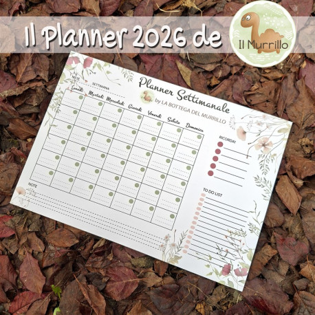 PLANNER 2026 - ACQUISTABILE