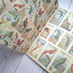 Craft Consortium Premium Paper Pad The Collector 15x15cm
