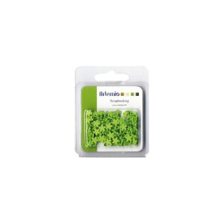 100 Brads Mini Flowers Green Artemio