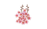 Prima Marketing Among the Wildflowers Flowers Spring Twig 22pz