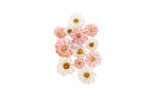 Prima Marketing Among the Wildflowers Flowers Bloom Market 12pz