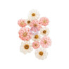 Prima Marketing Among the Wildflowers Flowers Bloom Market 12pz