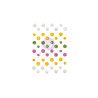 Prima Marketing Among the Wildflowers Say It In Crystals & Enamel dots 48pz