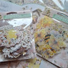 Prima Marketing Among the Wildflowers Ephemera 96pz