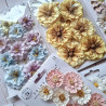 Prima Marketing Among the Wildflowers Flowers Honey Bloom 7pz