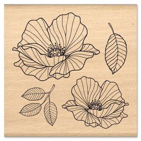 Florileges Timbro Montato COQUELICOTS