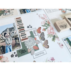 Florileges Kit Album Creativo MURMURES 20x20cm