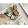 Florileges Timbro Montato PAPILLON DU PRINTEMPS