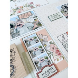 Florileges Timbro Montato PHOTOS ET PAPILLONS