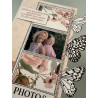 Florileges Timbro Montato PHOTOS ET PAPILLONS