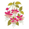 Spellbinders Magical Fuchsia Layered Stencil 5pz