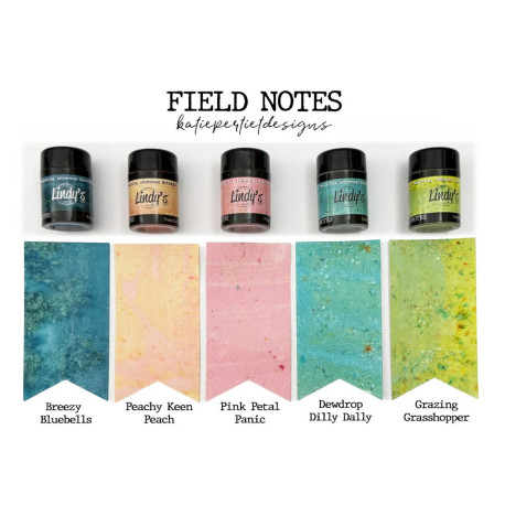 Lindy's Stamp Gang Katie Pertiet's Field Notes Magical Shaker 2.0 SET