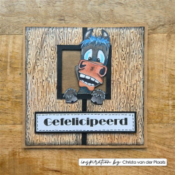 Vaessen Creative Embossing Folder by Carla Creates Wood On The Farm