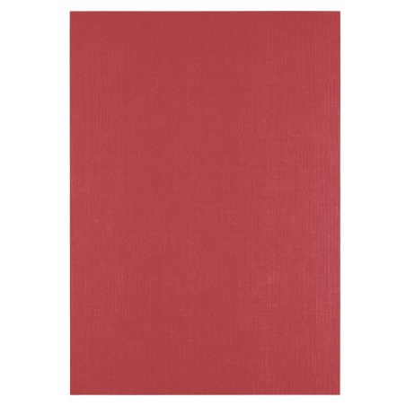 10 fogli Cartoncino Trama Lino A4 RUBY 250 gsm