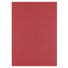 10 fogli Cartoncino Trama Lino A4 RUBY 250 gsm