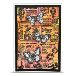 AALL & Create Stamp Set A6 1342 The Daily News