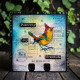 AALL & Create Stamp Set A6 1442 Stamped Horizons