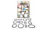 Aall&Create Cutting Dies 124 Scallop Ovals