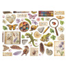 Stamperia All Around Die Cuts