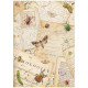 Stamperia All Around A4 Rice Paper Selection 6 fogli